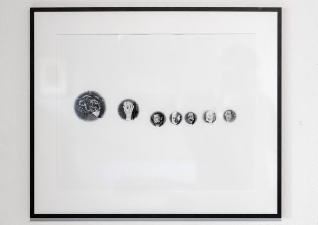 Auktion2024_Barnreiter, Elias