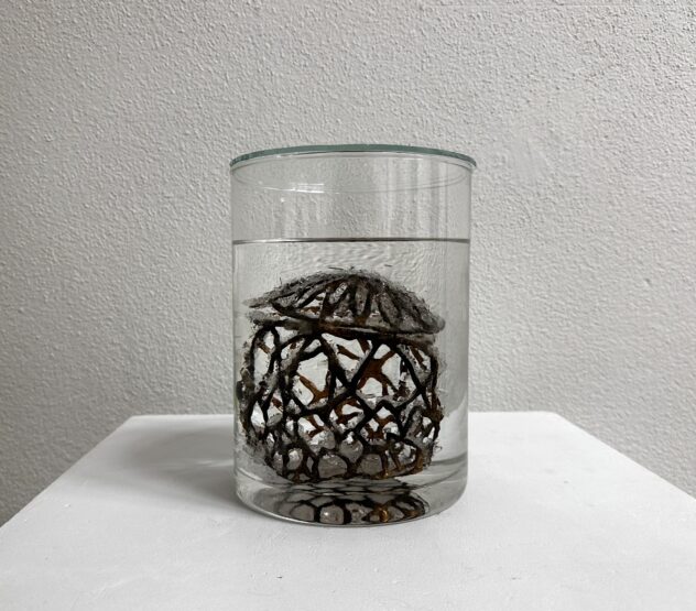 Auktion2024_Mann_-Jonas-Augustin