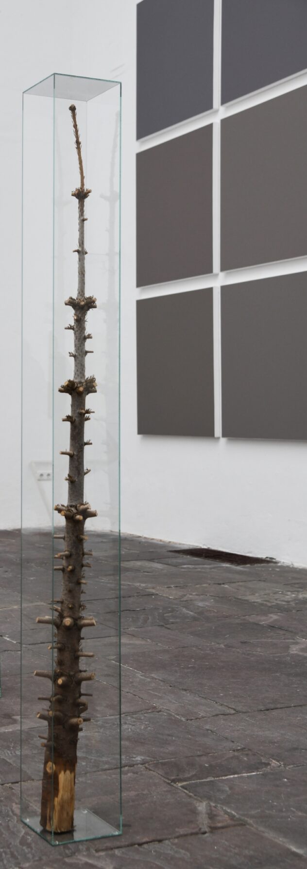 Auktion2024_Noethe, Florian