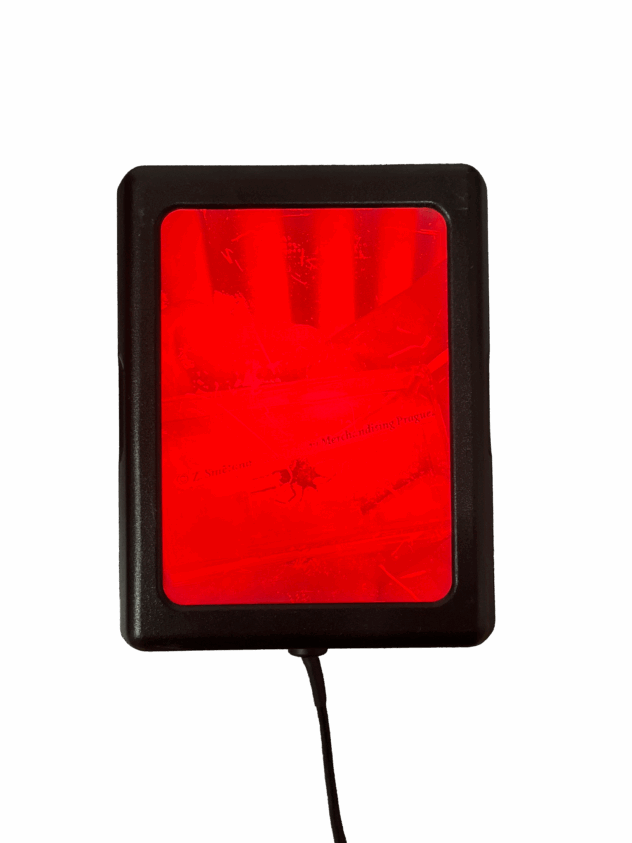 Auktion2025_Kaunicnik1