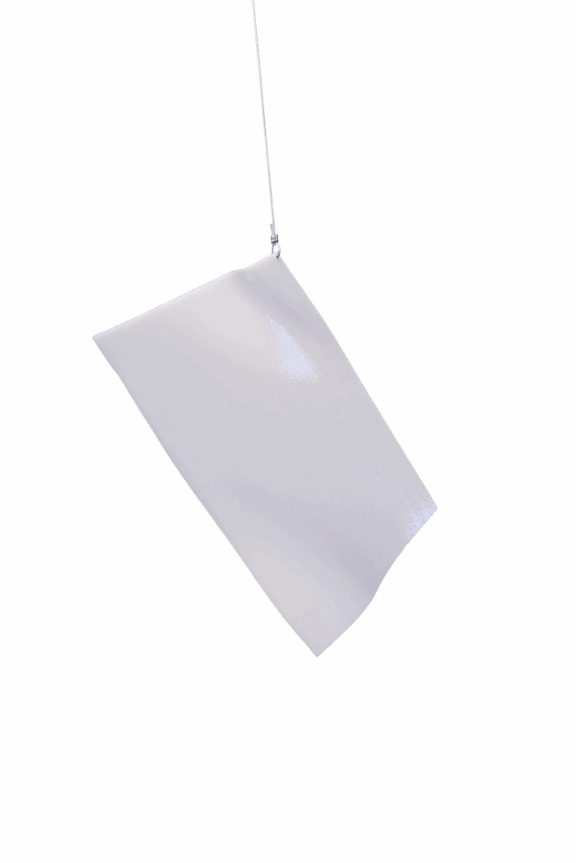 Auktion2025_Park_Junson2