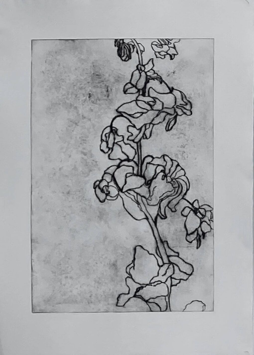 Auktion2025_Sattelmair3-3