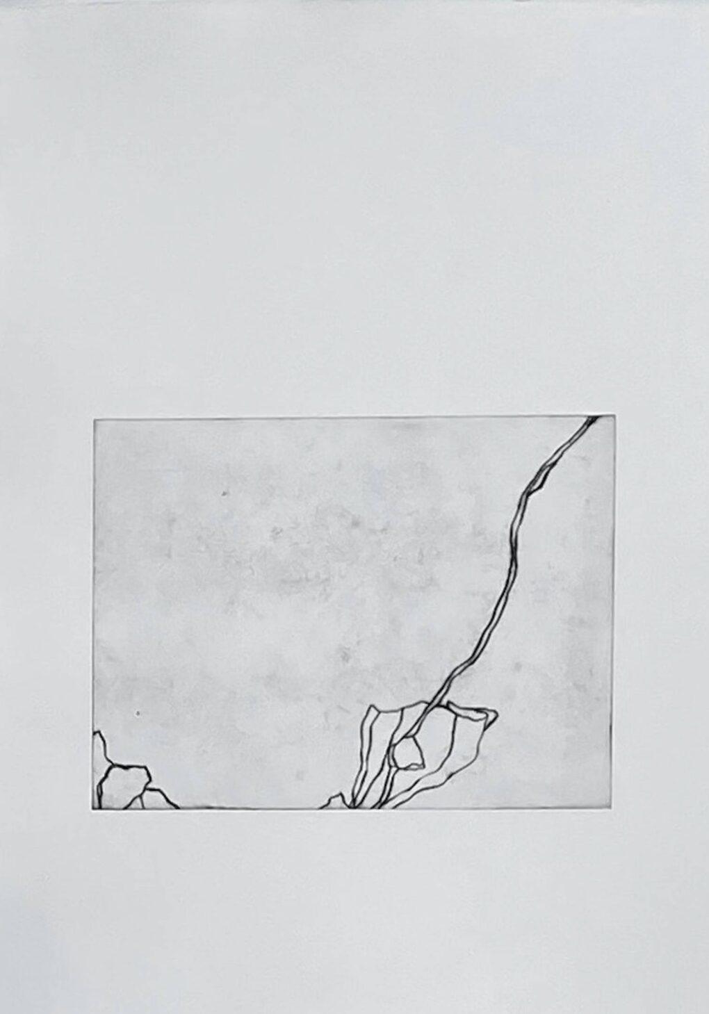 Auktion2025_Sattelmair3-4